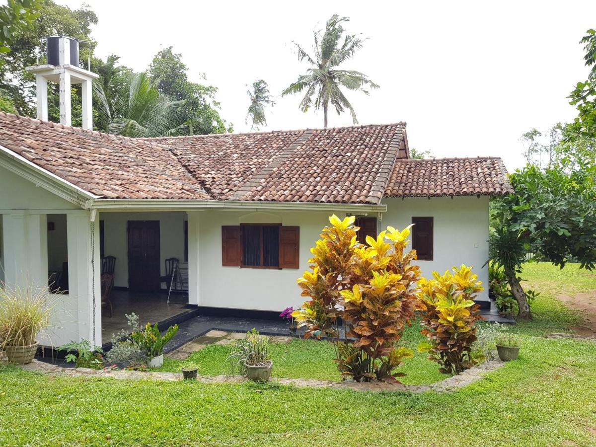 Chitra Ayurveda Hotel Bentota Bagian luar foto