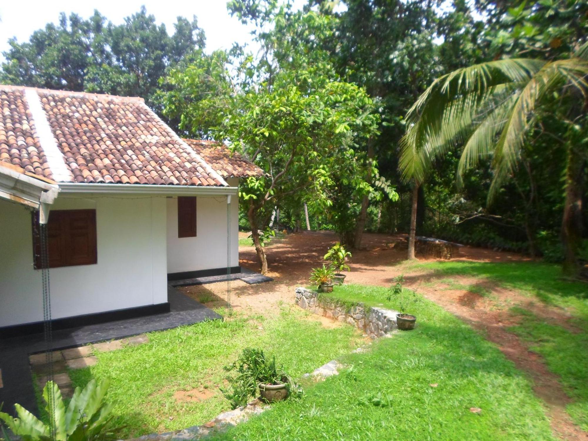 Chitra Ayurveda Hotel Bentota Ruang foto