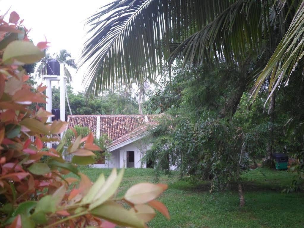 Chitra Ayurveda Hotel Bentota Bagian luar foto